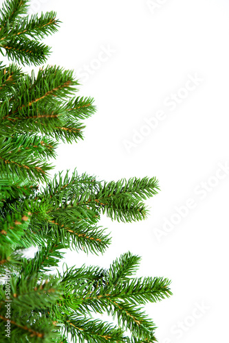Christmas tree in front of a white background