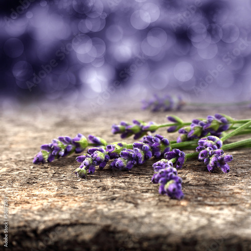 Fototapeta Naklejka Na Ścianę i Meble -  flowers