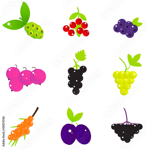 Summer Fruit and Berries set isolated on white