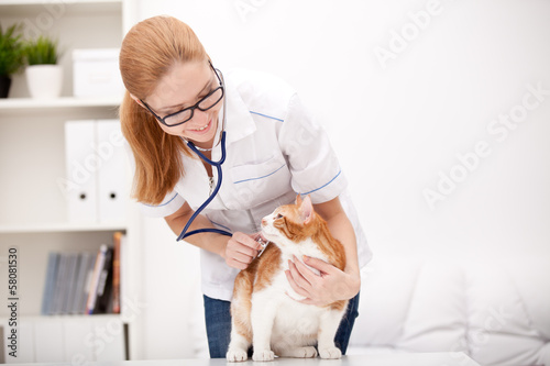 Red cat with veterinarian doctor. Veterinary clinic.