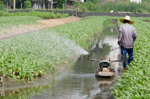 Farmer water plant in small shallow canal