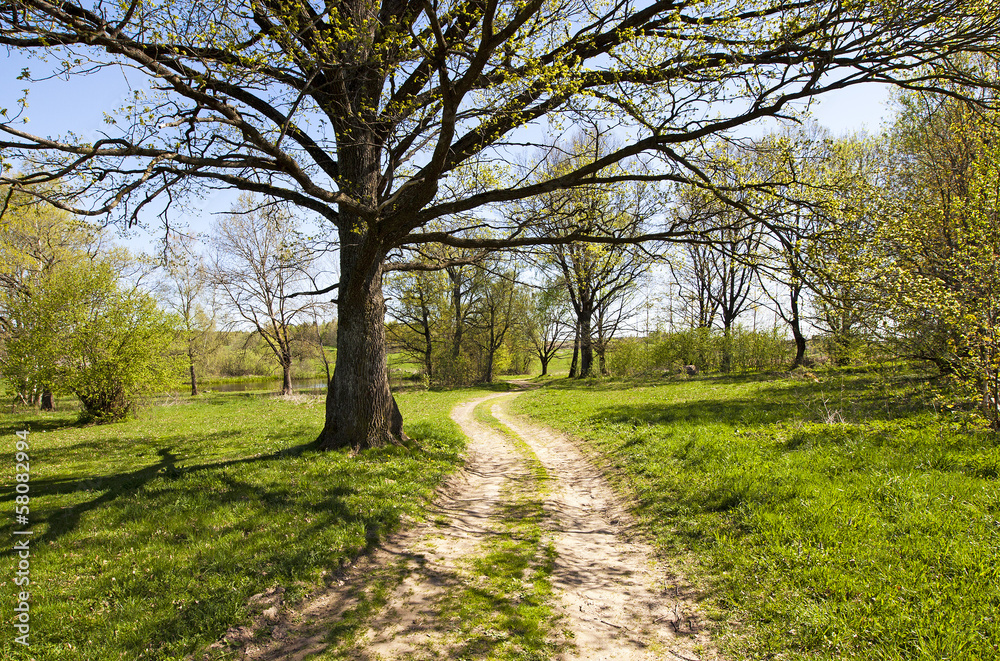 the rural road