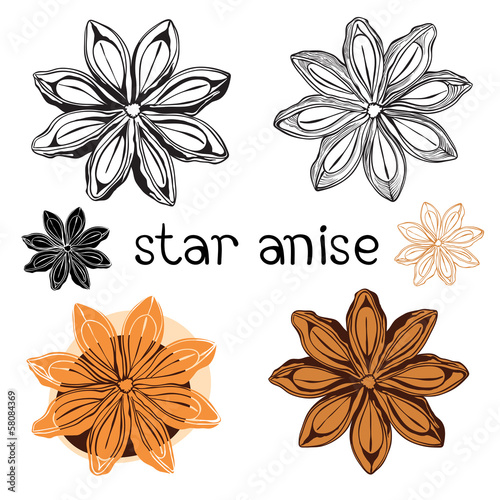 Star anise. Isolated on a white background .