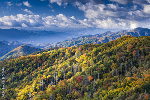 Early Morning Below Clingman's Dome photo