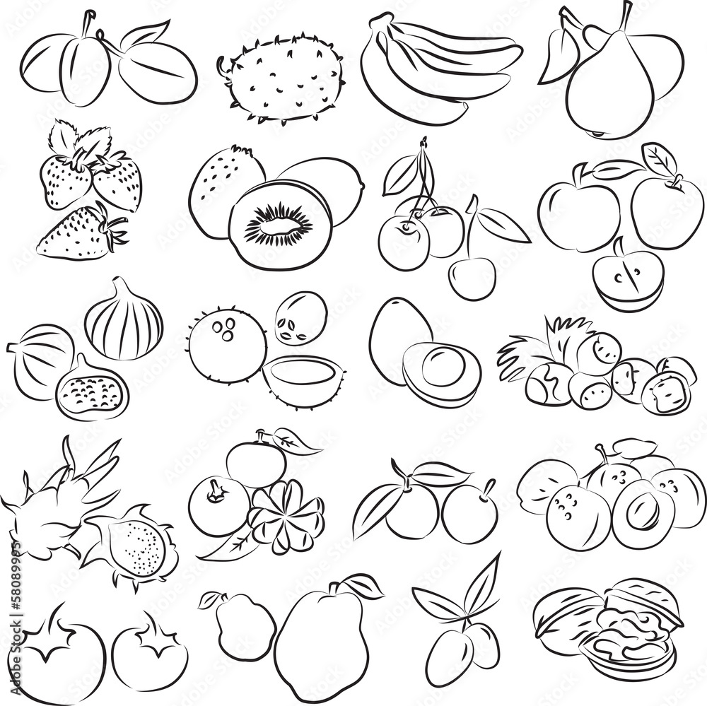 Vector illustration of fruits collection Vector illustration of fruits collection