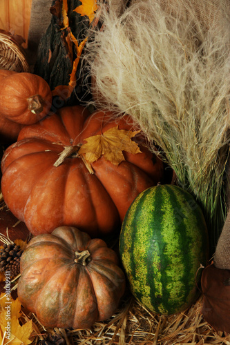 Pumpkins and watermelon on straw close up