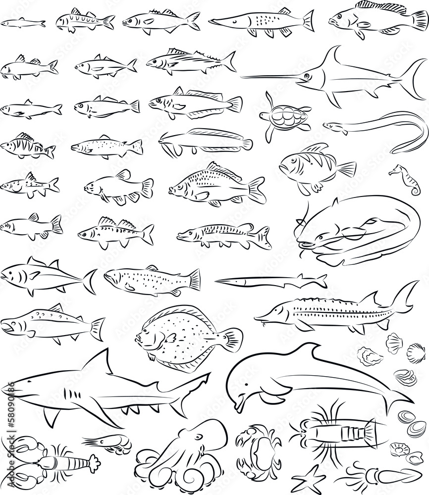 Naklejka premium vector illustration of sea fishes and creatures collection