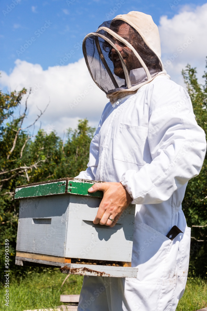 Beekeeper Carrying Honeycomb Box Beekeeper Carrying Honeycomb Box