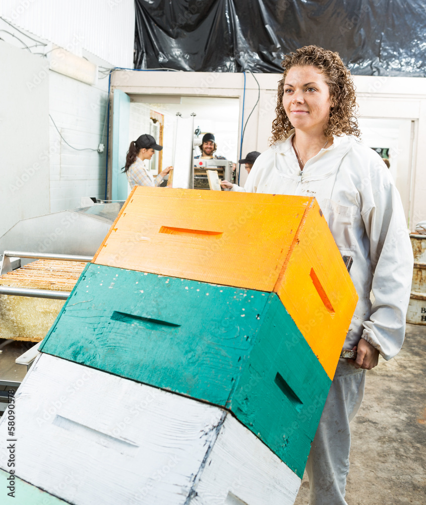Beekeeper Pushing Trolley Of Stacked Honeycomb Crates Beekeeper Pushing Trolley Of Stacked Honeycomb Crates