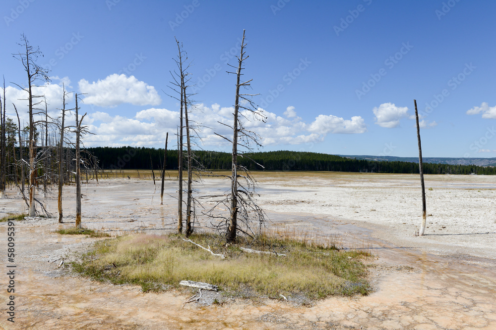 Yellowstone National Park, USA