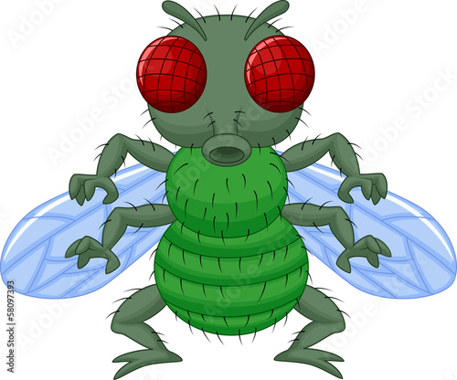 Fly cartoon character