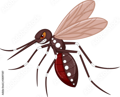 Angry mosquito cartoon