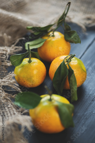 Vertical shot of ripe mandarins with green leaves