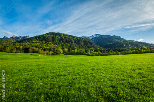 Alpine meadow in Bavaria   Germany