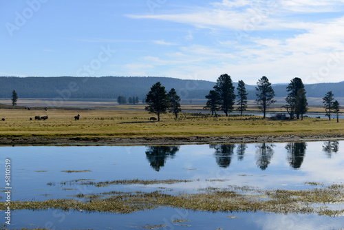 Yellowstone National Park, USA