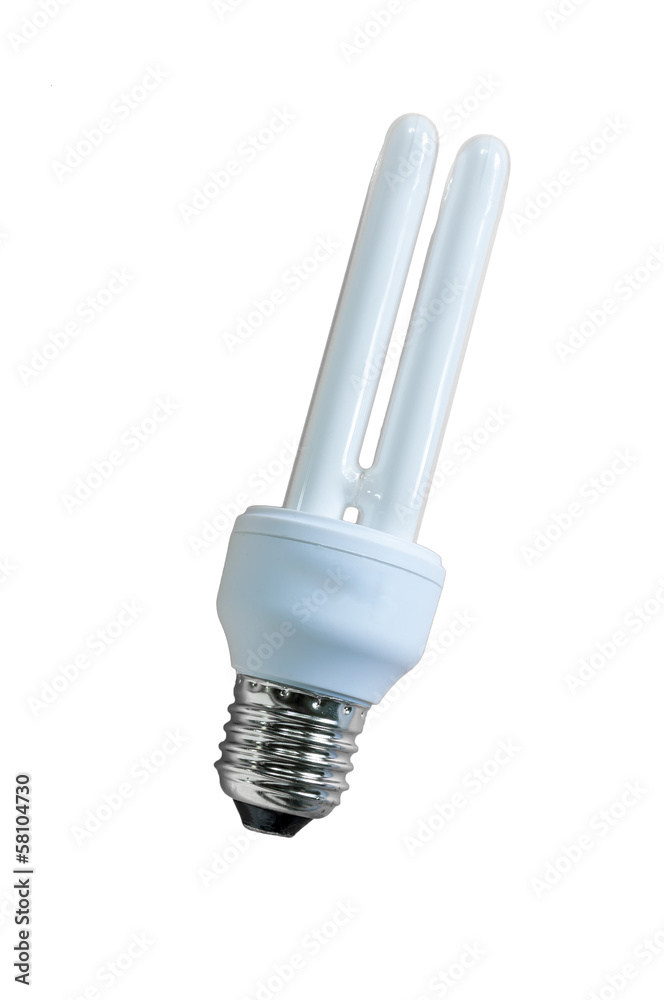 Compact Fluorescent Lamp