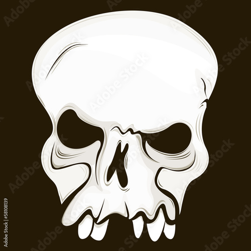 Skull
