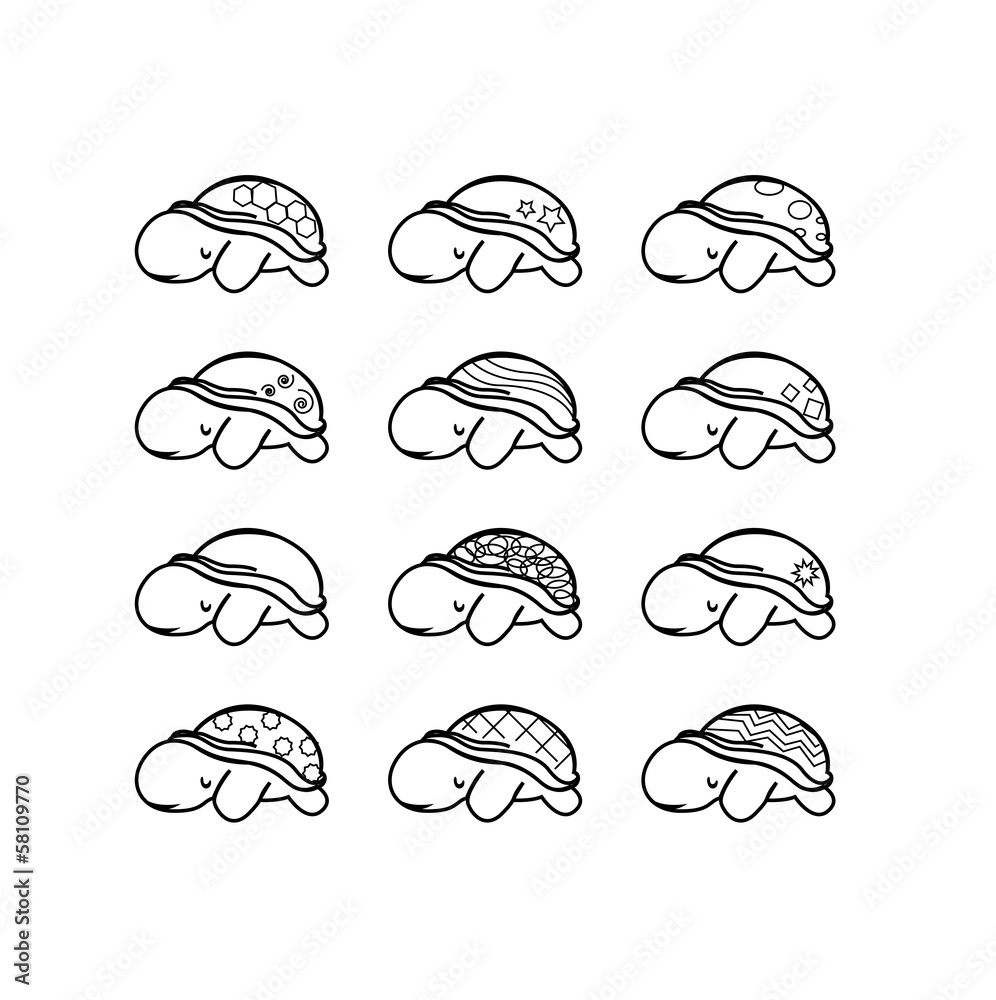 set of turtles with cute shell set of turtles with cute shell