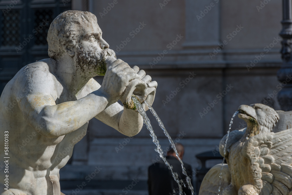 Naklejka premium Roma, fontana del Moro (part.)