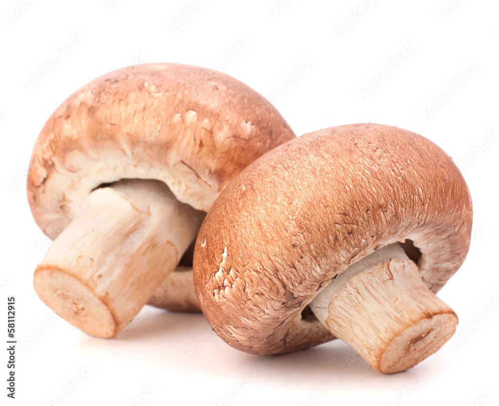 Fototapeta premium Brown champignon mushroom