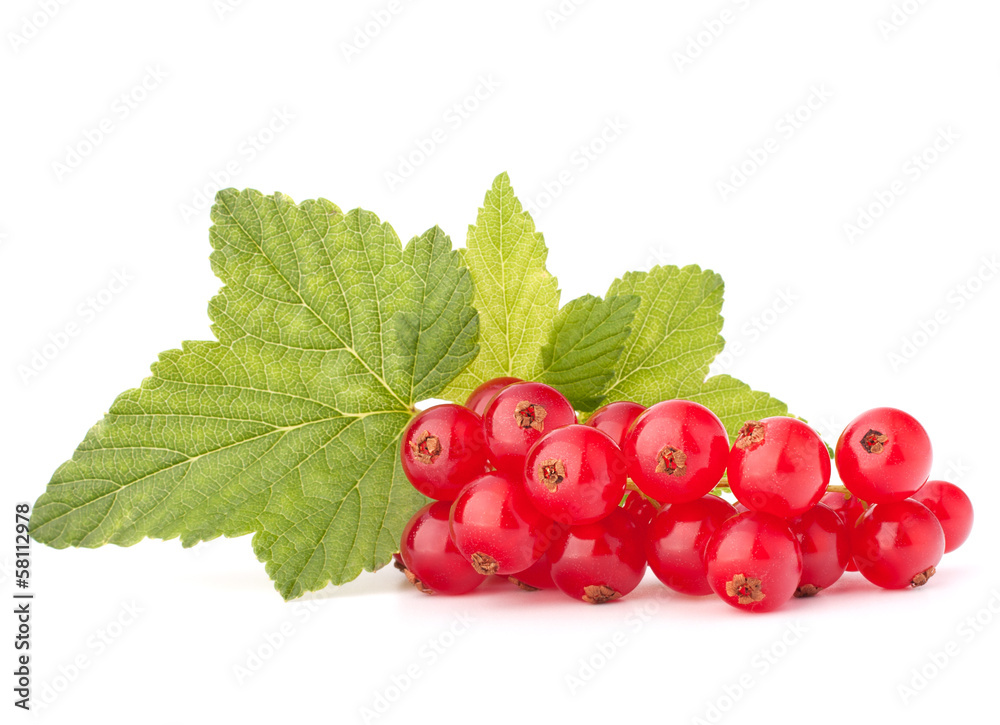 Red currants and green leaves still life Red currants and green leaves still life