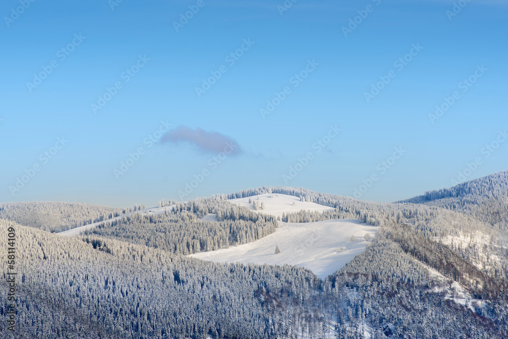 Winter Landscape With Snowy Mountains