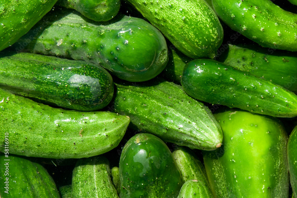 cucumbers cucumbers