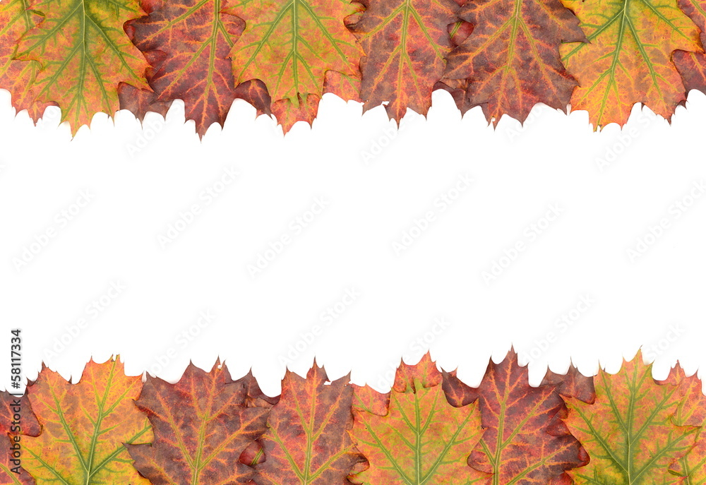 Fototapeta premium Autumn decoration frame made of leaves