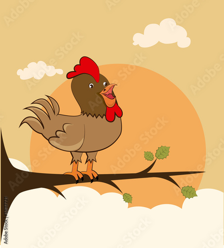 cock design
