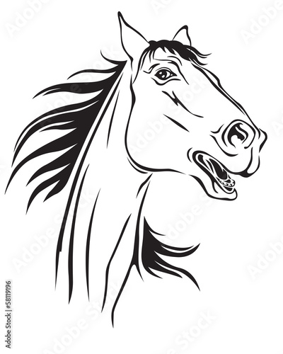 Horses neighs
