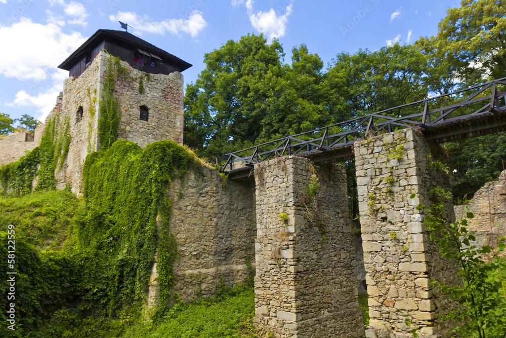 Ruin of castle Lukov in area Zlin in czech republic