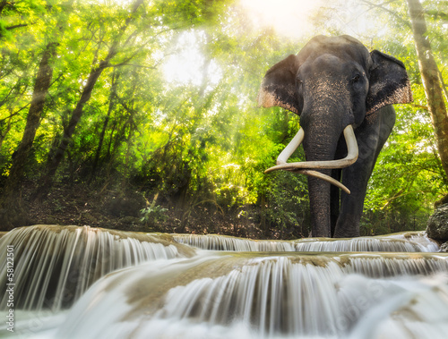Erawan Waterfall with an elefhant