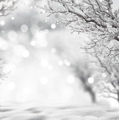 winter background