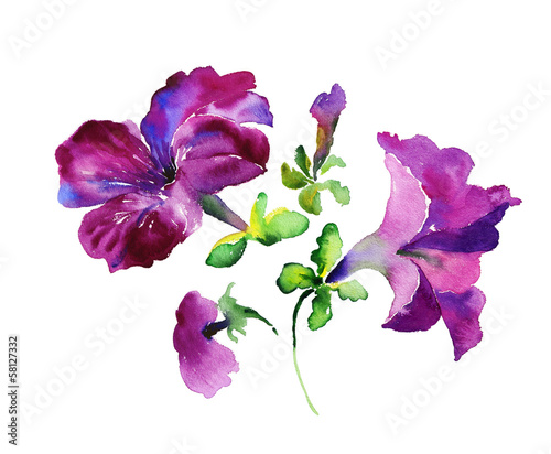 Watercolor purple flowers