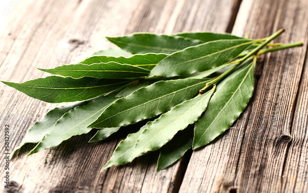 Laurel leaves on a wooden background Laurel leaves on a wooden background