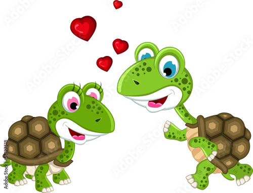 cute couple turtle cartoon