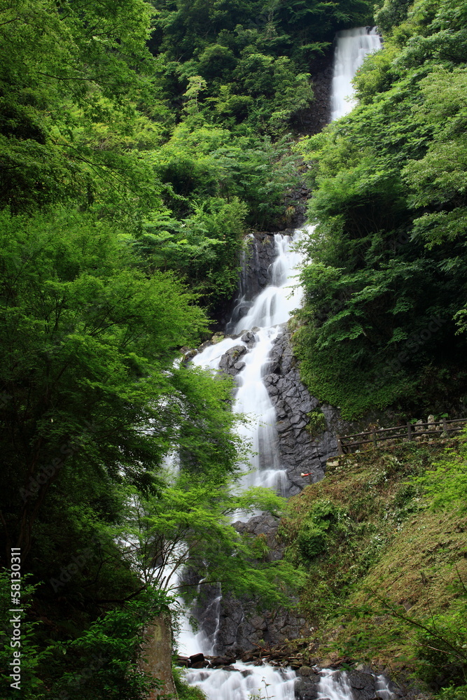 伊豆 旭滝 伊豆 旭滝