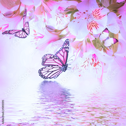 Fototapeta Naklejka Na Ścianę i Meble -  Beautiful flower and butterfly, blured and colored