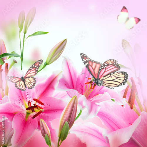 Fototapeta Naklejka Na Ścianę i Meble -  Multi-colored lilies and butterfly on a dark background