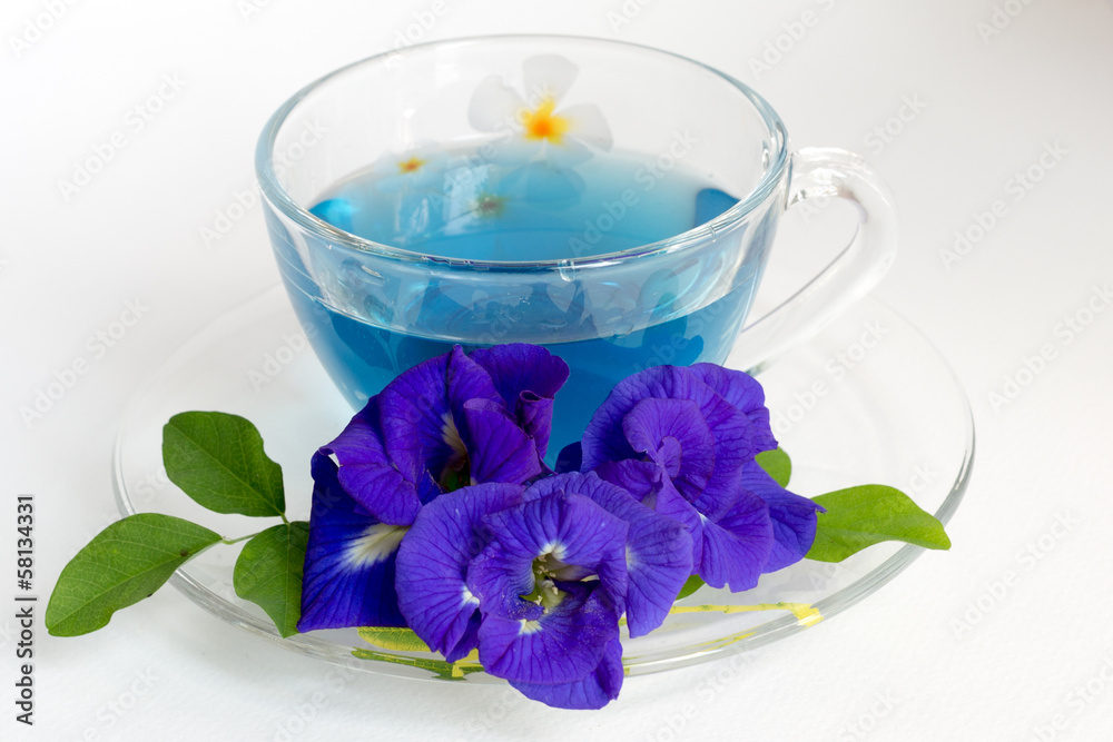 Butterfly pea Tea on White Background Butterfly pea Tea on White Background