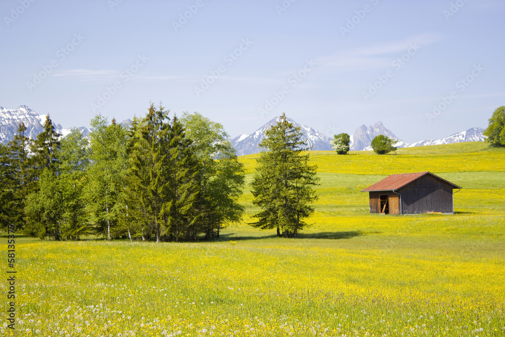 lovely panorama in the alps in Germany