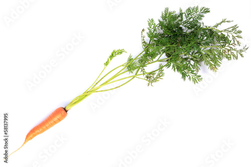 Carrots with tops.