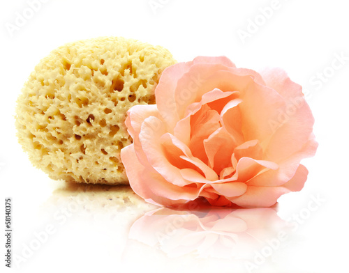 Badeschwamm mit Rose