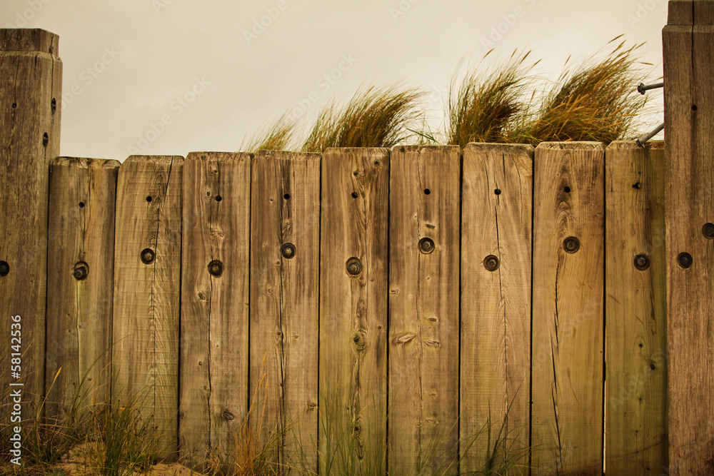 Fototapeta premium Fence and the beach