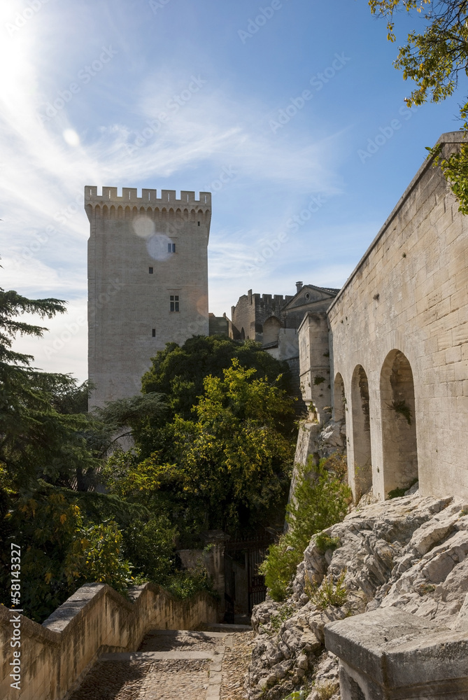 Palace of Popes, Avignon, France