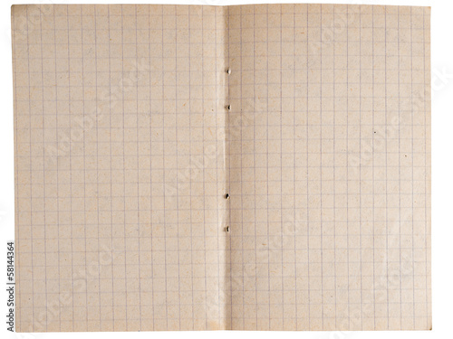 Page from a notebook with cages isolated on white