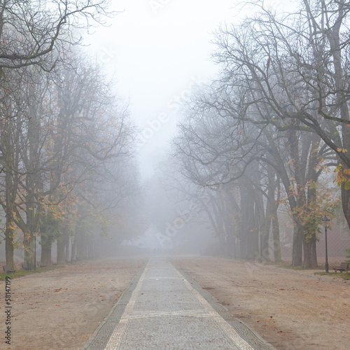 Kurpark at fall, Bad Homburg, Germany