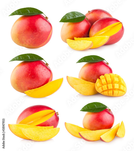 collection of 6 mango images
