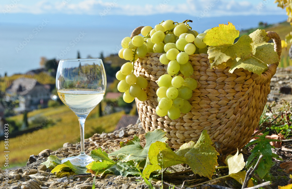 Wineglass and basket of grapes. Lavaux region, Switzerland