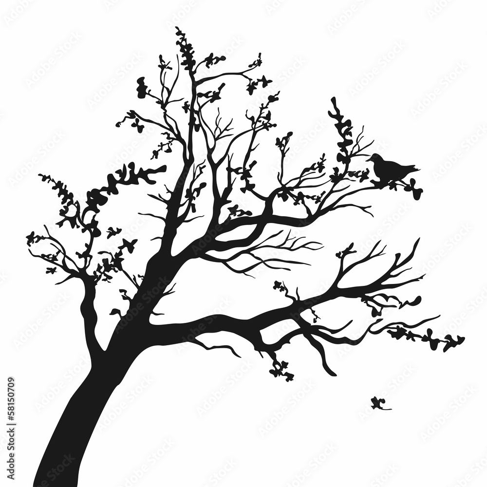 Naklejka Tree silhouettes.